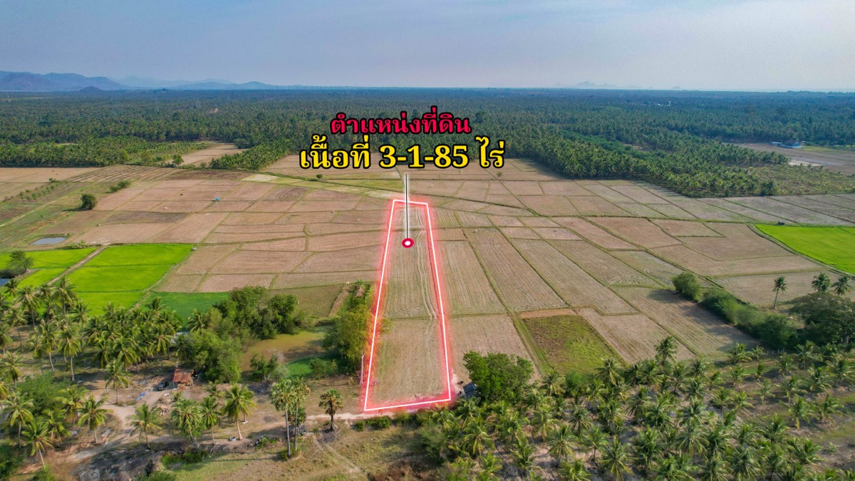 ที่ดินประกาศขาย ห้วยยาง 6