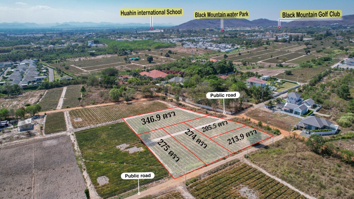 ที่ดินประกาศขาย ปี 2026 · รายการ 25 6