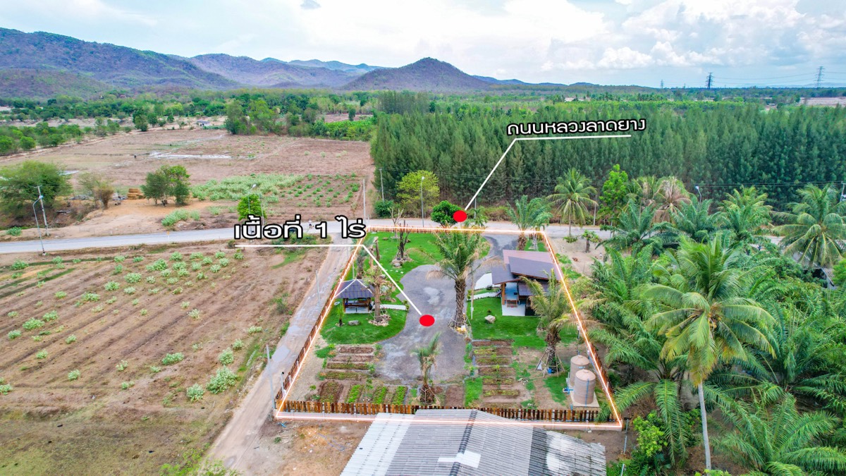 ที่ดินประกาศขาย ปี 2026 · รายการ 31 6