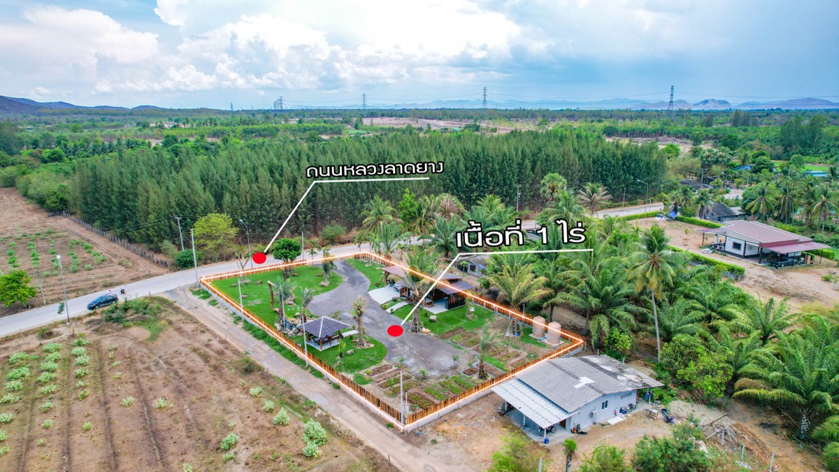 ที่ดินประกาศขาย ปี 2026 · รายการ 31 7