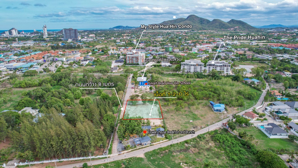 ที่ดินประกาศขาย ปี 2026 · รายการ 34 6