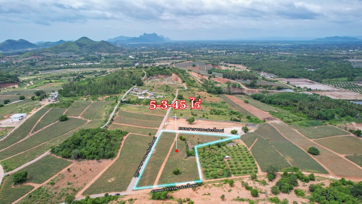 ที่ดินประกาศขาย ปี 2026 · รายการ 44 6