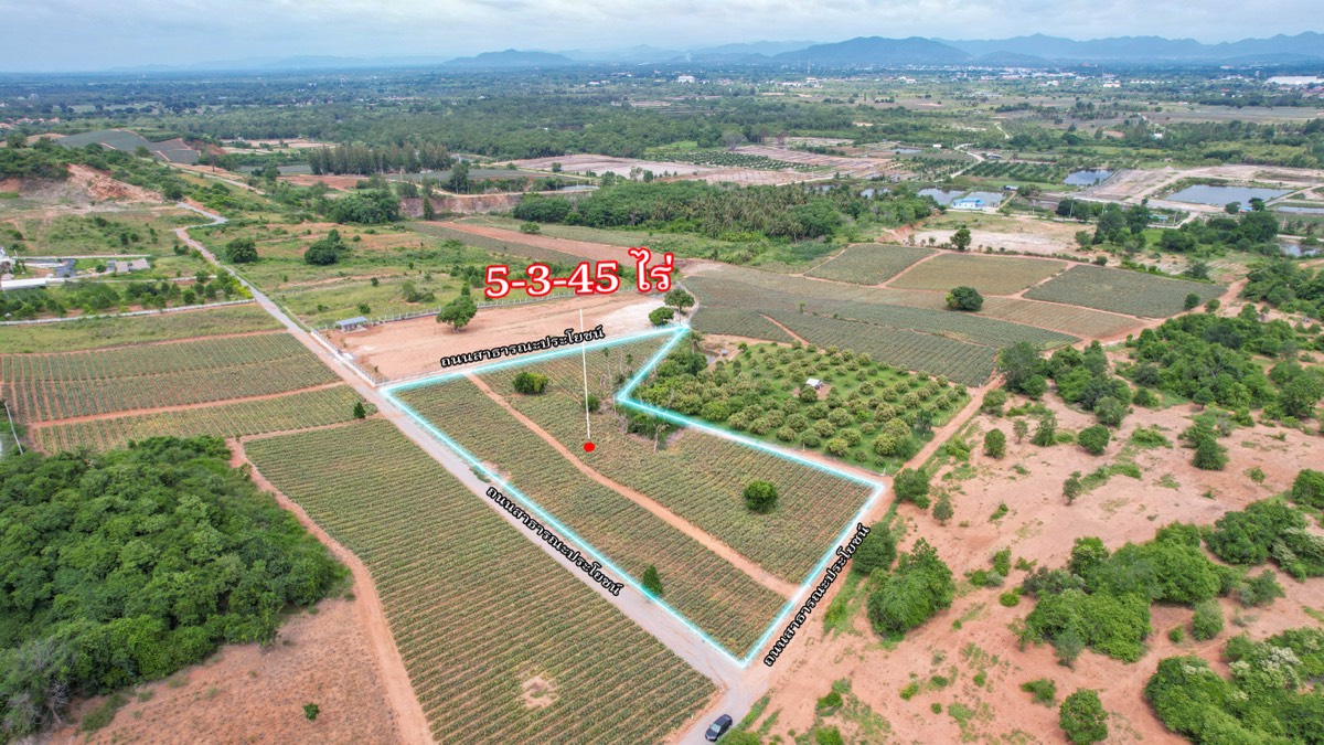 ที่ดินประกาศขาย ปี 2026 · รายการ 44 7